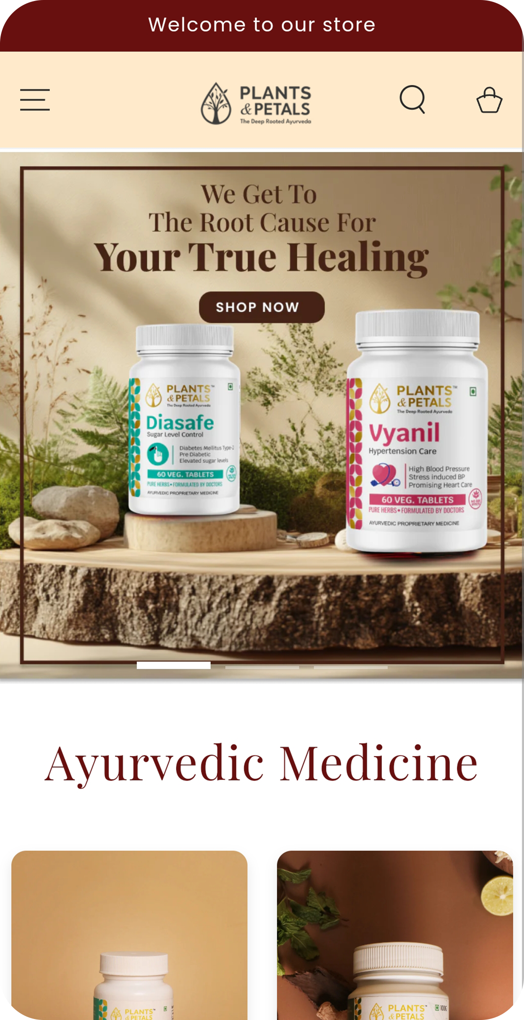 Expert Shopify consultant Delhi