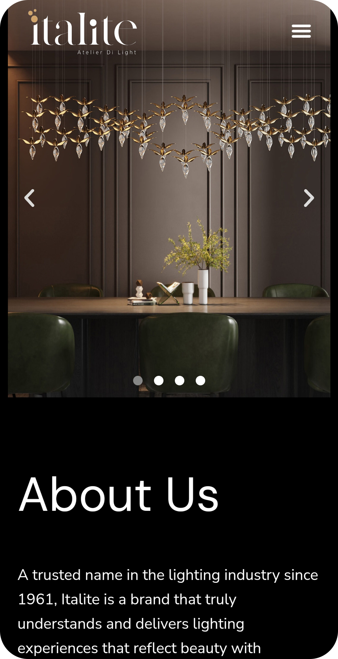 Professional Shopify agency Delhi