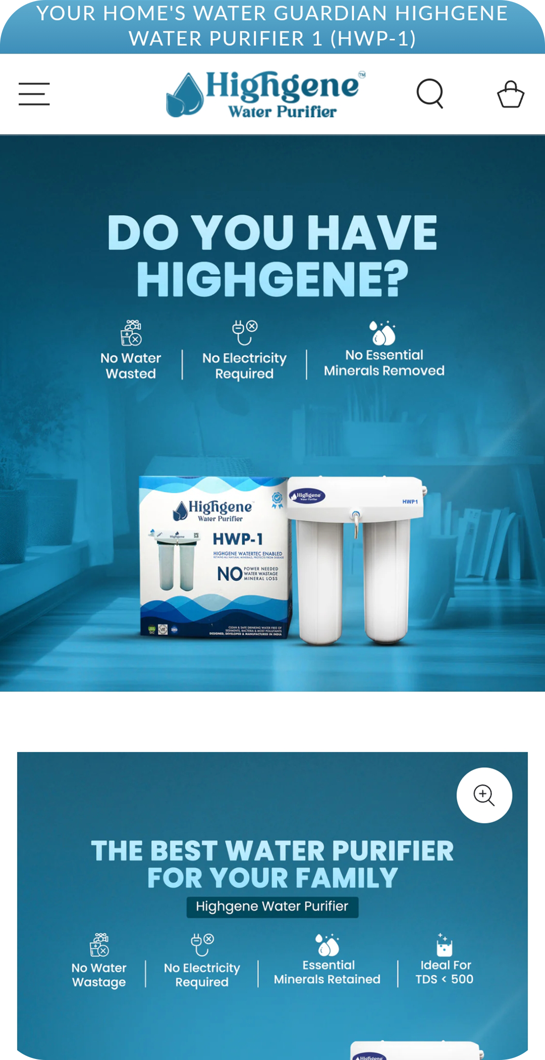 Professional Shopify website development Delhi