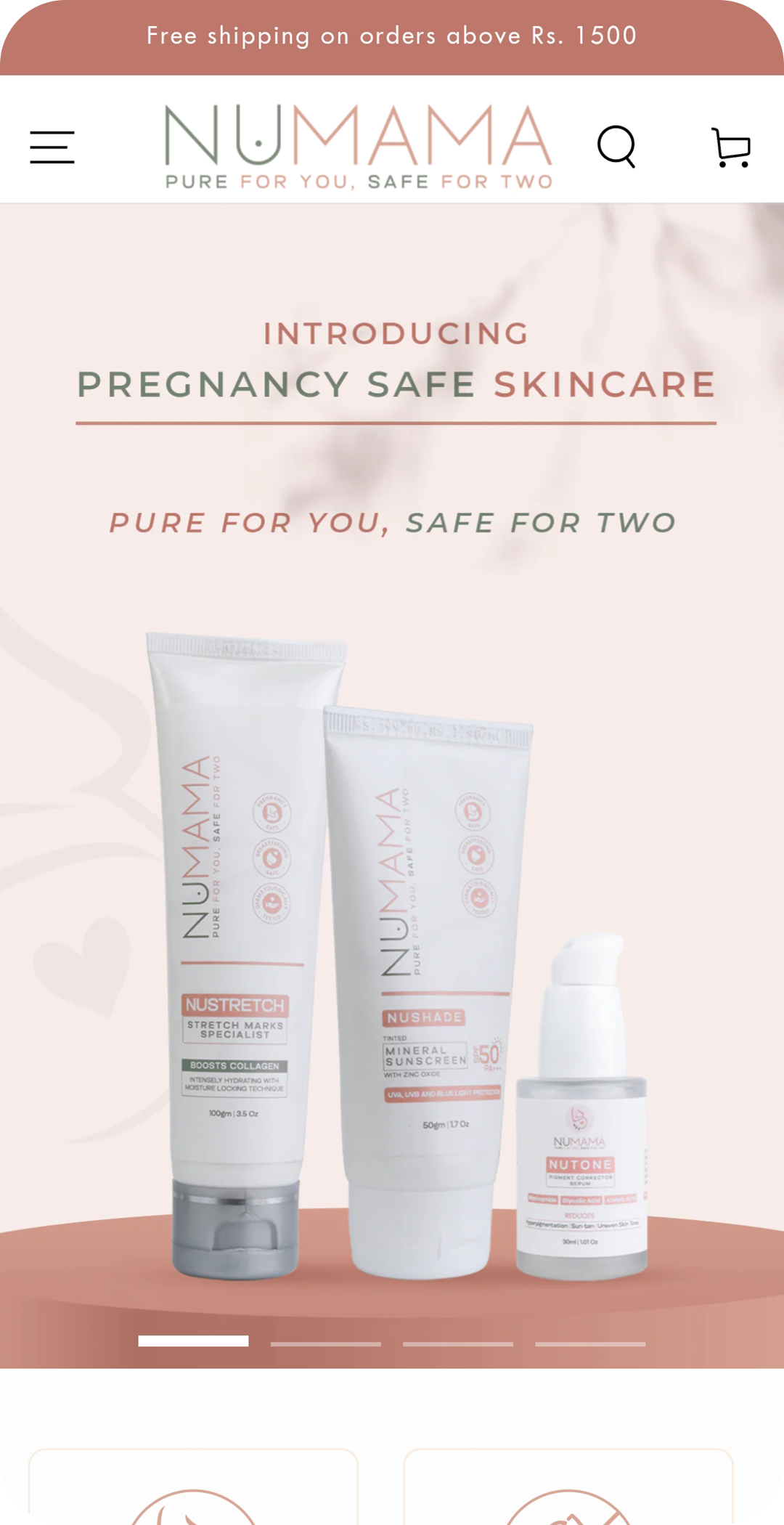 Shopify store builder Delhi